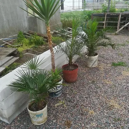 Δωμάτια σε οικογενειακή κατοικία Casa Barbu *
