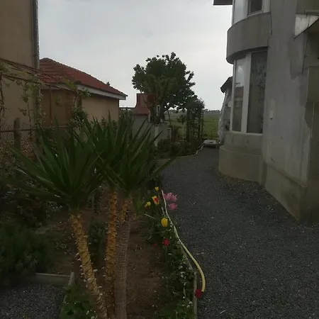 Casa Barbu فاما فيكي